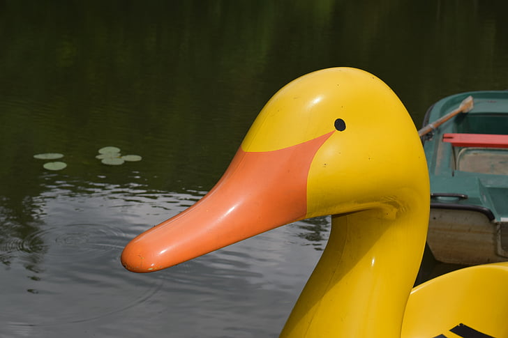 pato, estanque, bote a pedal, agua, amarillo, Texto original en, gracioso