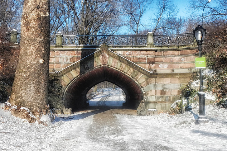 central park, new york city, landmark, bridge, winter, snow, walkway