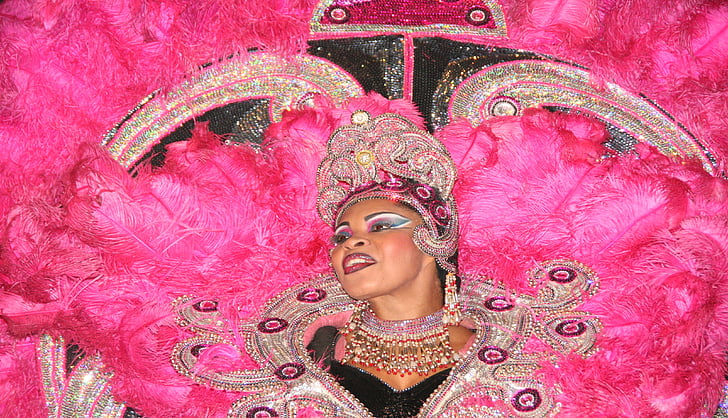 Dame, Samba, Brésil, plumes roses, Carnaval, cultures, gens