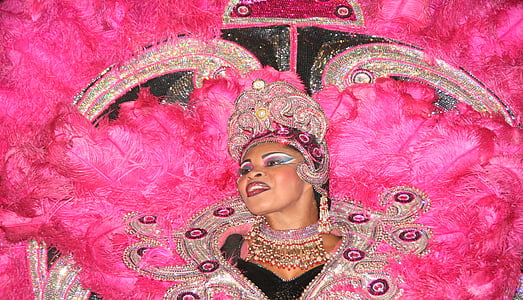 Lady, Samba, Brasilien, Rosa fjädrar, Carnaval, kulturer, personer