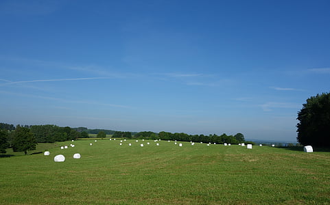 straw bales, round bales, hay bales, agriculture, bale, cattle feed, wrapped up