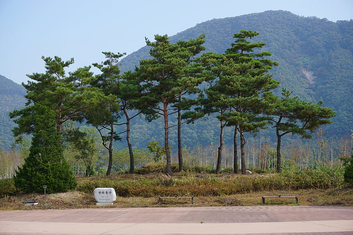 parkas, Chuncheon, nami, jaraseom, Korėja, Korėjos Respublika, medienos