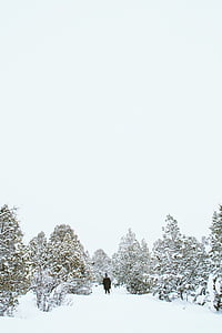persona, nero, cappotto, maglia, tappo, in piedi, neve