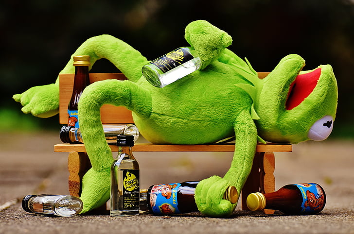 Kermit, rana, bebida, alcohol, borracho, Banco, resto