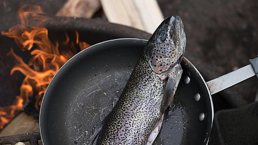 kucharz, ryby, Pan, ogień, płomień, ciepła - temperatury, ogień - zjawisko naturalne
