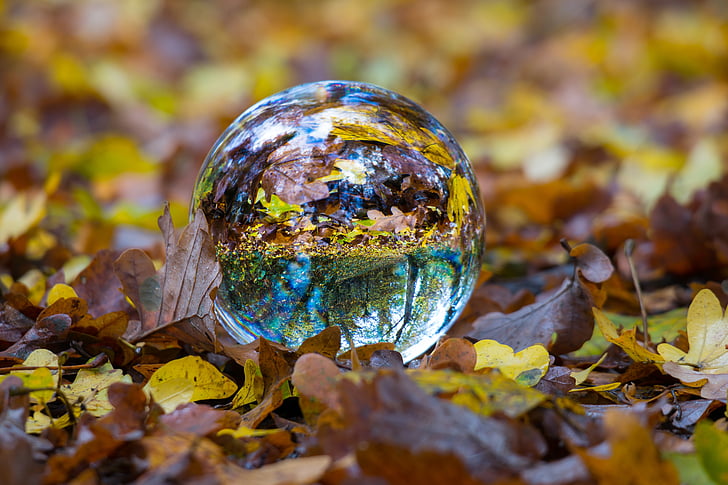 podzim, Skleněná koule, míč, padajícího listí, Obrázek zeměkoule, sférické fotky, listy