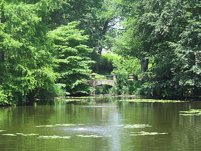 Teich, Sommer, Grün, friedliche, Natur, im freien, Landschaft