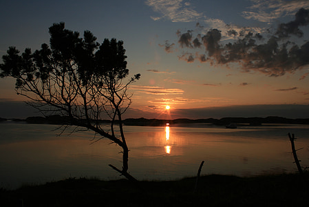 zachód słońca, drzewo, morze, sylwetka, spokoju, cichy, Norwegia