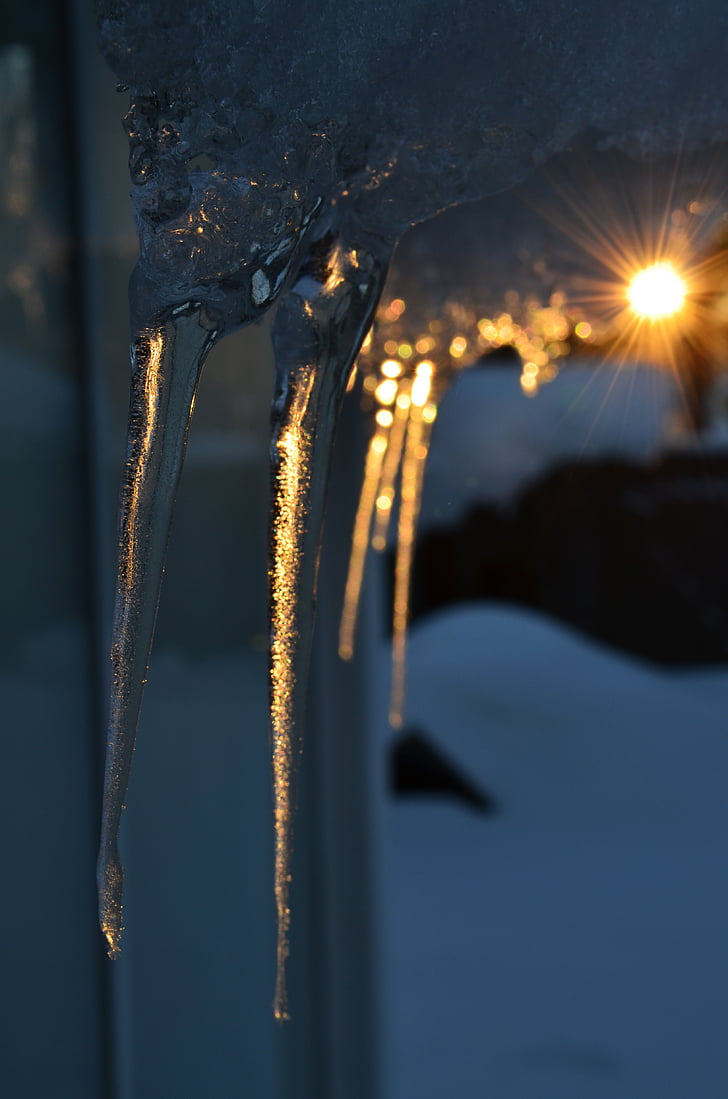 hielo, puesta de sol, maravillosamente, frío, congelados, invierno, cubierto de nieve