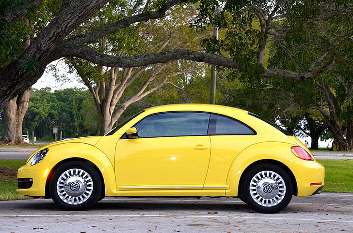 coche amarillo, Parque, árboles, verde, la Florida, estacionamiento, Parque Nacional Everglades