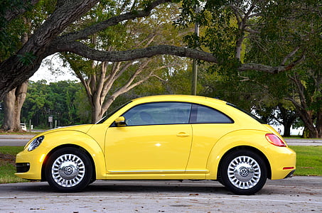 żółty samochód, Park, drzewa, zielony, Florida, parking, park narodowy Everglades