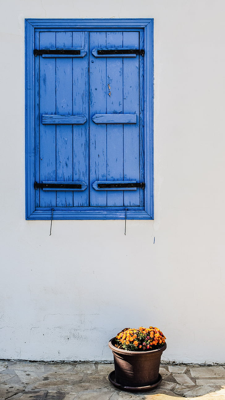 ablak, fa, régi, építészet, hagyományos, kék, virágcserép
