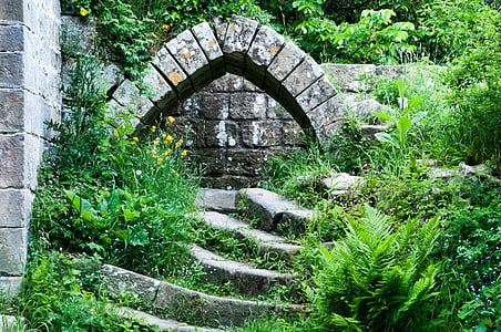 abbey, steps, riveaux, garden, architecture, stone, history
