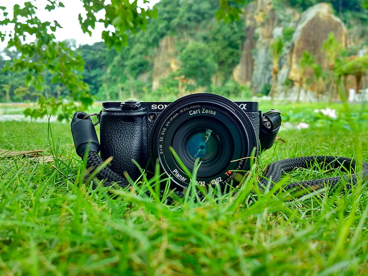 kamera, lauko, žolės, objektyvas, fotografija, Sony, kamera - fotografijos įranga