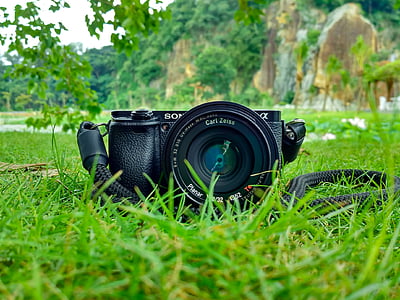 aparat de fotografiat, câmp, iarba, lentilă, fotografie, Sony, aparat de fotografiat - echipamente fotografice