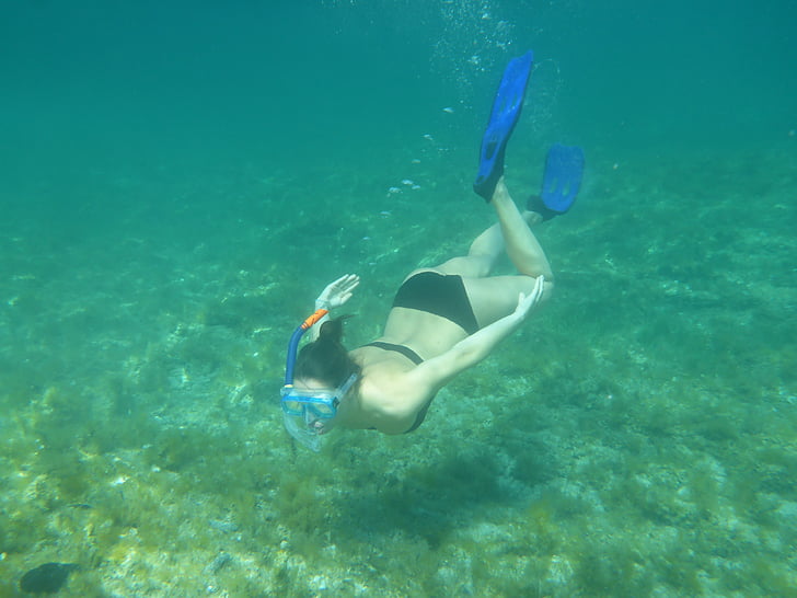 immersioni subacquee, lo snorkeling, natura, acqua, mare, spiaggia, Vacanze