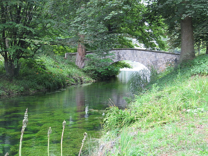 riu, l'aigua, Pont, verd, Ulm