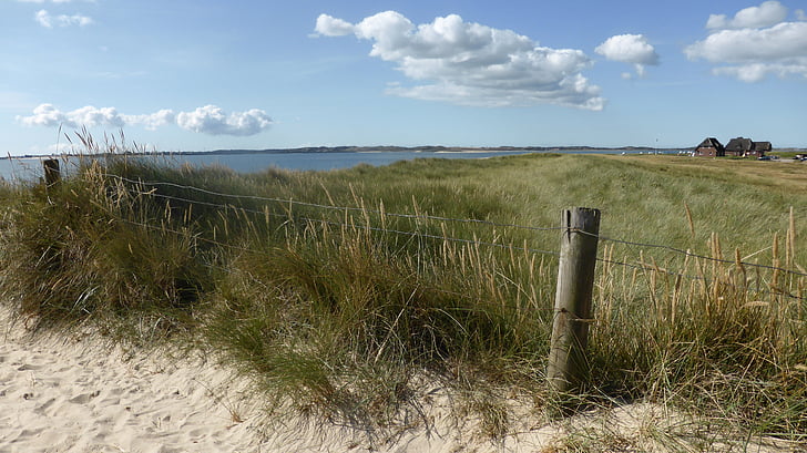 dunes, sand, wide, north sea, pasture, field, water