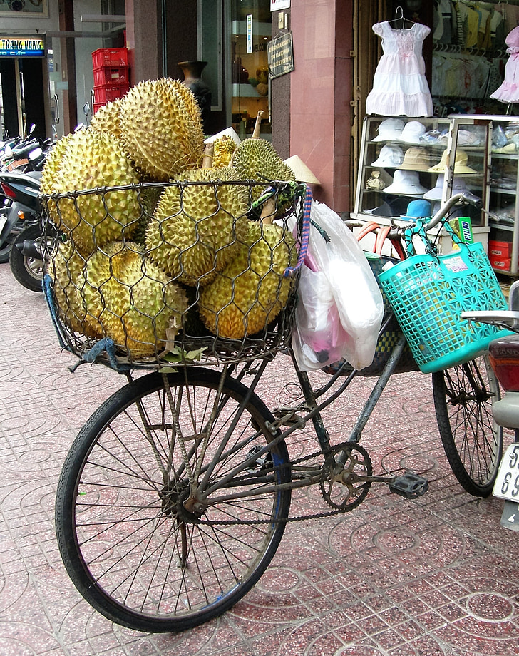 Obst, Jackfrucht, Fahrrad, Fahrradkorb, Vietnam