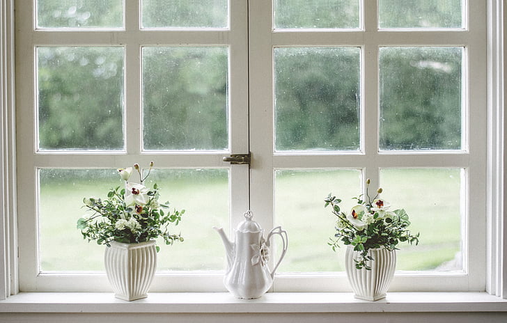 putih, jendela, kaca, perisai, bingkai, bunga, vas