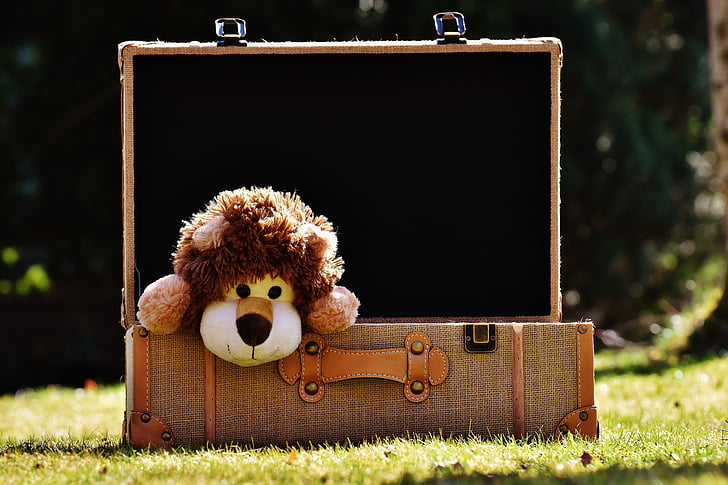 teddy bear, lion, luggage, funny, toys, stuffed animal, children toys