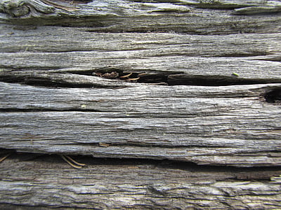 madeira, textura, plano de fundo, Grungy, pano de fundo, sujo