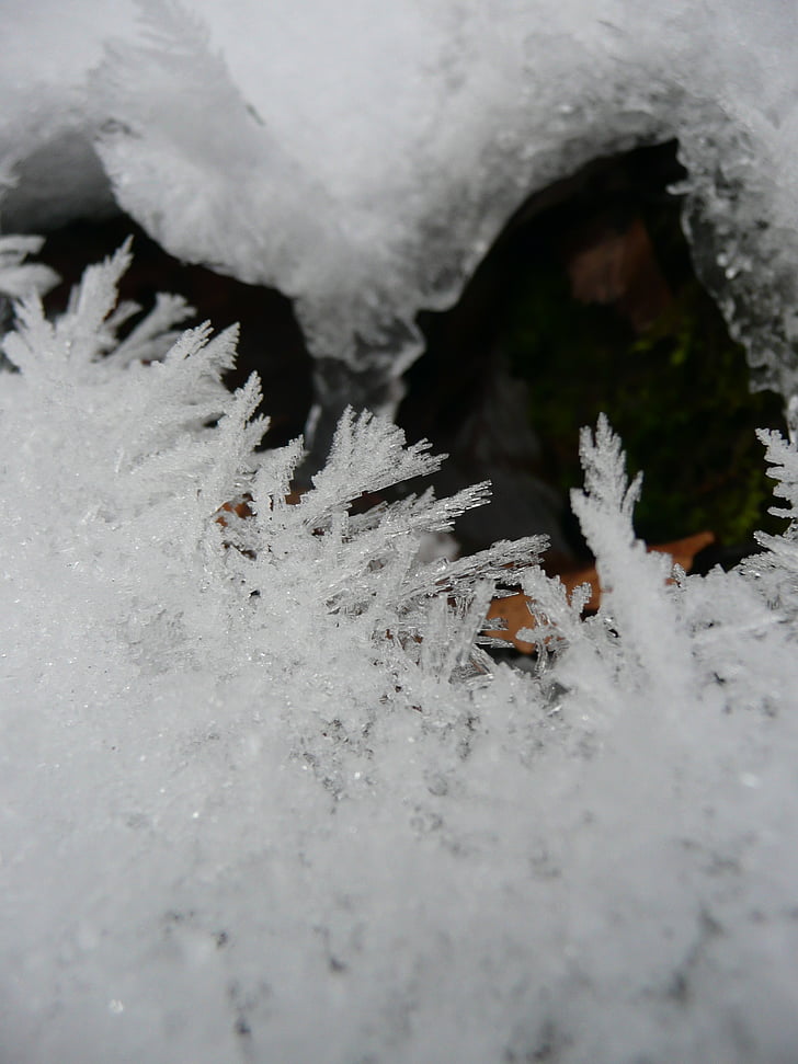 น้ำแข็ง, eiskristalle, ฤดูหนาว, แช่แข็ง, ผลึก, ที่ยากที่สุด, หิมะ