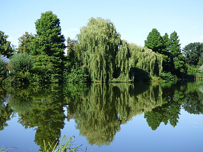 jezero, zrcadlení, rybník, stromy, voda, Příroda, malebný