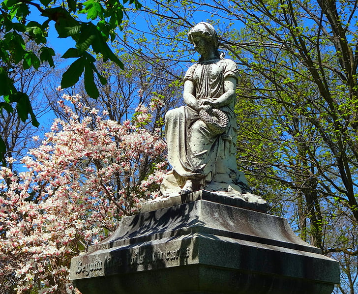 nghĩa trang, nghĩa trang, Magnolia tree, ông đã được đặt, Tombstone, chết, cái chết