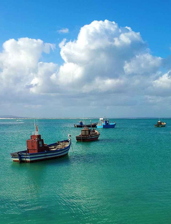 south africa, ocean, sea, bay, fishing boats, boats, clouds