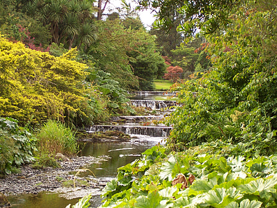 pretty scene, water, little water fall, green trees, green bank, river bank, picturesque