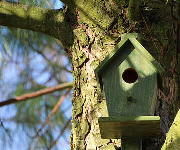 aviary, tree, nesting box, bird, hatchery, wood, shelter