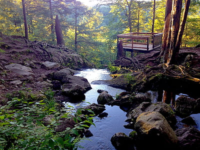 酪乳瀑布, 新泽西州, 森林, 青苔, 自然, 岩石, 四季