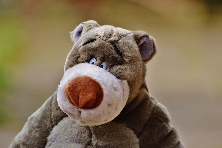 bear, soft toy, disney, stuffed animal, cute, toys, bears