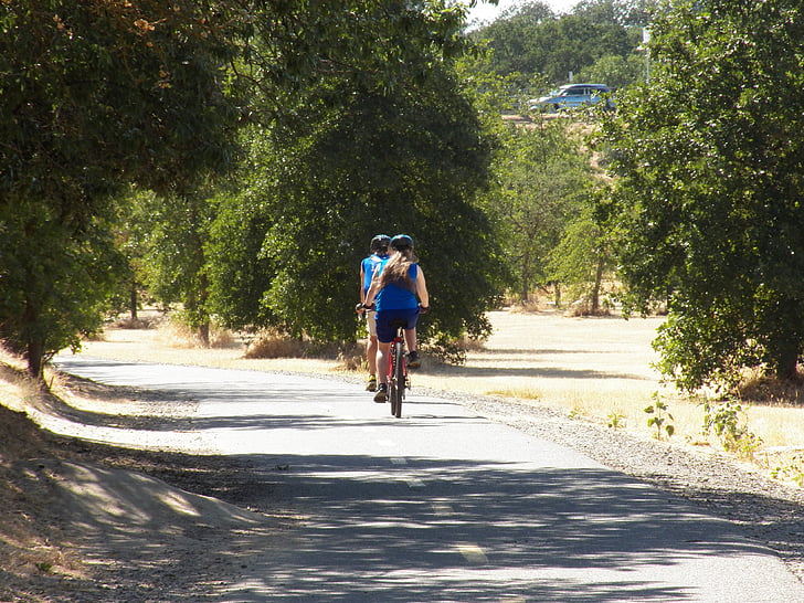 caminho, caminho, viagem, ao ar livre, árvore, pavimento, bicicleta