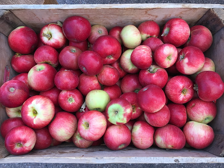äpplen, bondens marknad, korg, färsk, frukt, friska, ekologisk