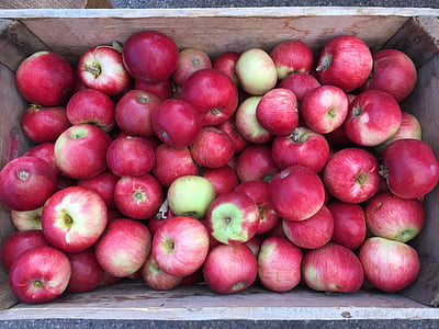jabłka, Targ, Kosz, świeży, owoce, zdrowe, organiczne