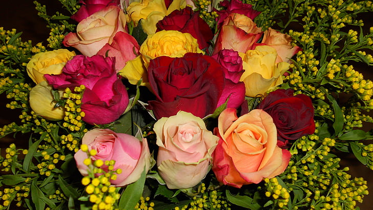 rozes, pušķis, krāsains, ziedi