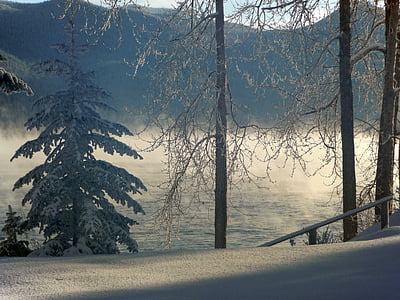 nebbioso, inverno, paesaggio, sogno d'inverno, freddo, neve, magia della neve