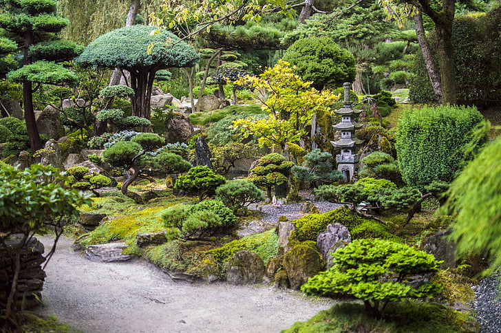 Japonés, jardín, stomečky, Rock - objeto, no hay personas, Moss, día