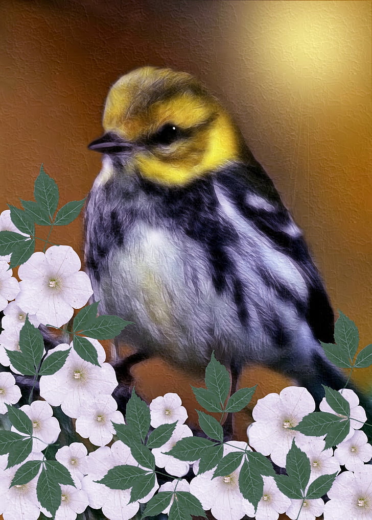 black-throated green warbler, dendroica virensdigital, digital painting, flower, art, bird