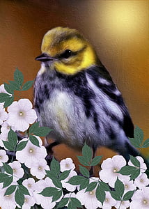 Black-throated green warbler, Dendroica virensdigital, digital målning, blomma, konst, fågel