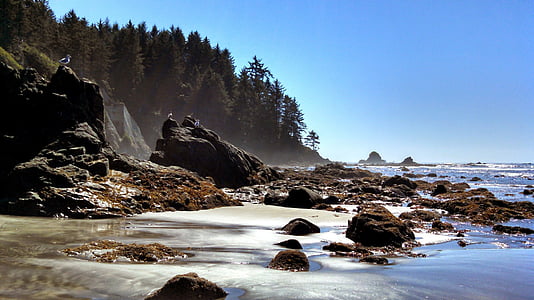 Seacoast, Rocks, Ocean, landskap, havet, kusten, stenar