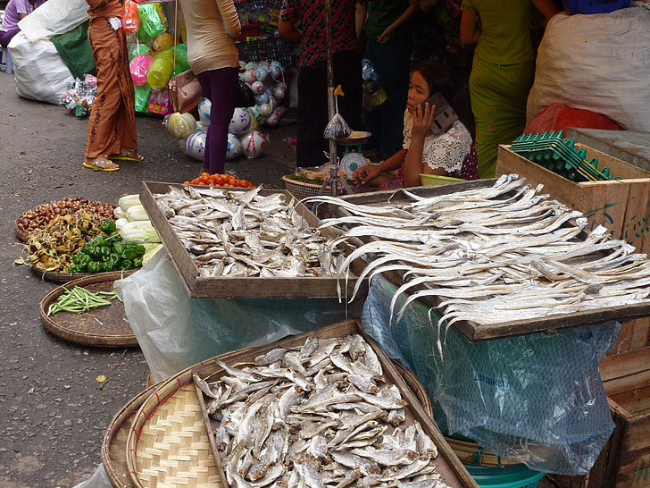 trh, tradiční, Asie, ryby, Barma, Myanmar, Yangon