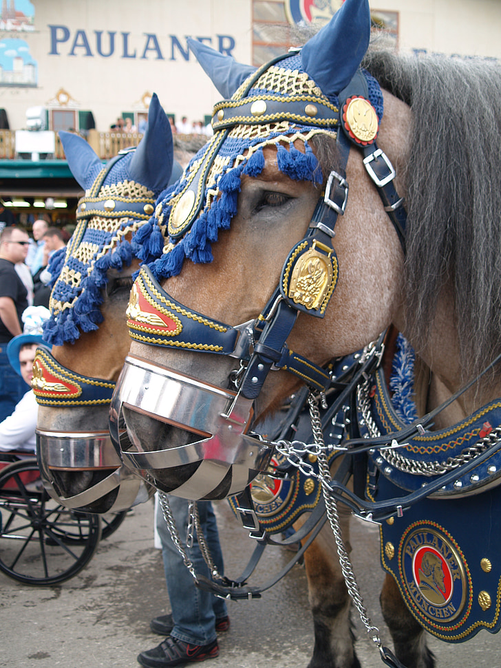 Oktoberfest Münchenissä, hevonen, panimo