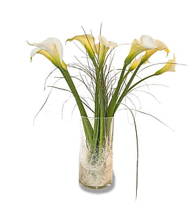 callas, flowers, cluster, vase, white, bouquet, plant