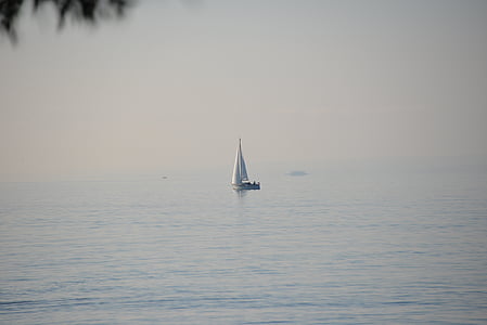 sail, sailing, lake, water, fog, fog bank, morning