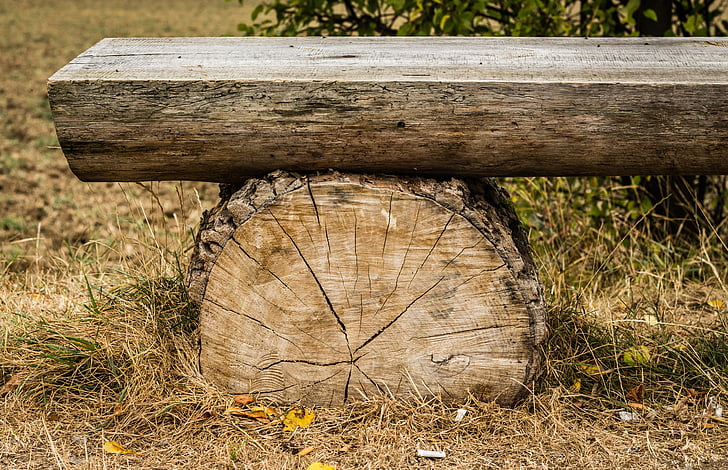 lavica, drevené, kmeň, Relácia, Sit, textúra, jeseň