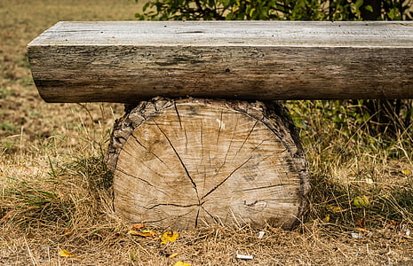 Lavička, dřevěný, kmen, relace, Sit, textura, podzim