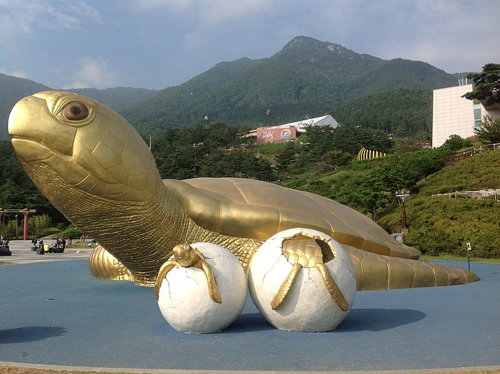 golden turtle, sancheong, republic of korea, donguibogam village, good luck, golden, turtle